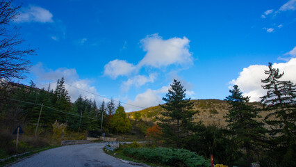 landscape with trees and clouds