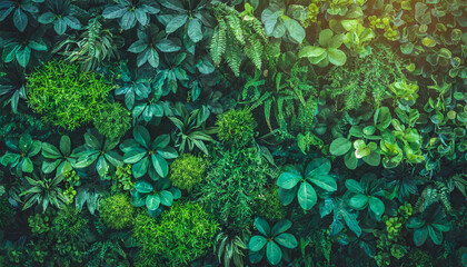 Green herb wall, plant wall, natural wallpaper and background. Nature backdrop of lush forest...