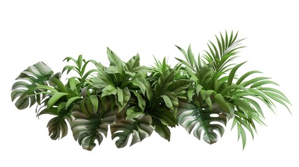 Green leaves of tropical plants bush floral arrangement indoors garden nature backdrop isolated on white background.