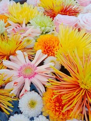 the flowers bouquet of asters