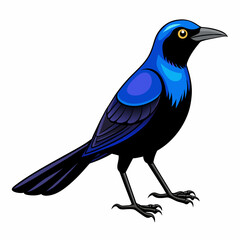 Mysterious Crow: Vector Silhouette Against White Background