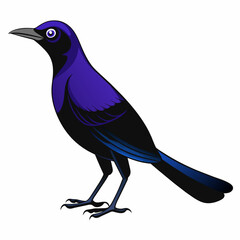 Mysterious Crow: Vector Silhouette Against White Background