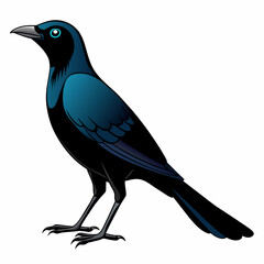 Mysterious Crow: Vector Silhouette Against White Background