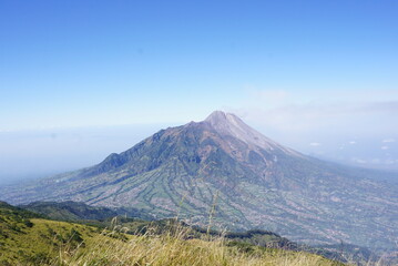 Fototapeta premium The beauty of Mount Merbabu's savanna is not limited to its green expanse. The sturdy trees standing on the edge of the savanna provide a beautiful contrast and a place to shelter from the sun's heat.