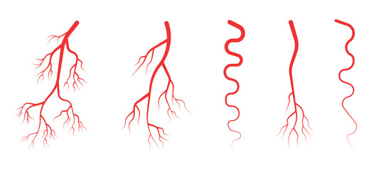 Set of human veins arteries red eye illustration vector - obrazy, fototapety, plakaty