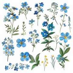 Clip art illustration with various types of forget me not on a white background.	