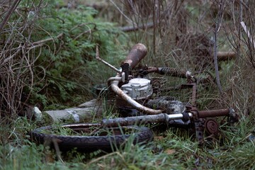 an old bicycle parked among brush and trees in the woods