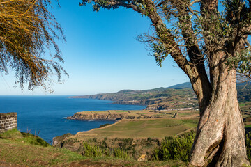 View of coastline in Azores, Sao Miguel, Portugal - 772269215