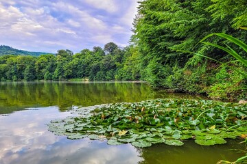 Tranquil lake with lily pads surrounded by lush greenery. Plavno, Banska Bystrica, Slovakia.