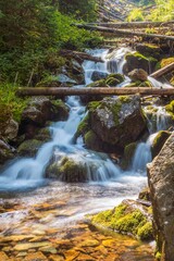 Tranquil scene featuring a small cascading waterfall, surrounded by mossy rocks. Western Tatras.