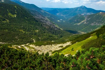 Naklejka na ściany i meble Beautiful view of the Western Tatras mountain range in summer. Carpathian Mountains, Slovakia.