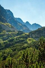 Beautiful view of the Western Tatras mountain range in summer. Carpathian Mountains, Slovakia.