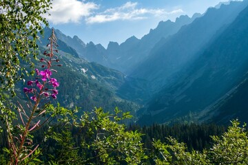 Beautiful view of the High Tatra Mountains in northern Slovakia.