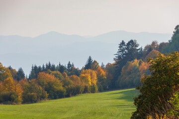 Scenic autumn landscape with a green meadow and lush trees. Krahule, Slovakia.