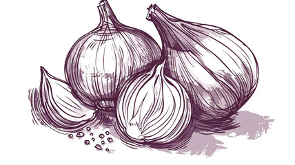 A sketch-style hand-drawn vector graphic of a chopped onion. Doodle components made of vegetables.