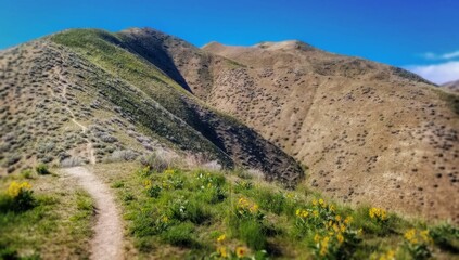 Picturesque view of a winding mountain path leading through a rugged landscape