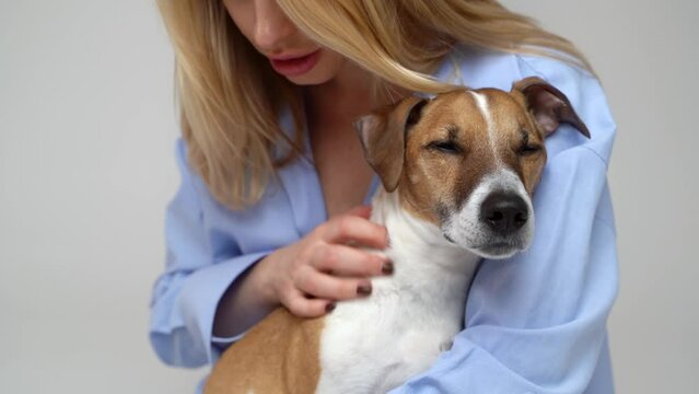 Cute sleepy dog petting by blonde young woman in blue shirt. Love and trust relaxed pet face. feel protection. Studio video footage grey background 