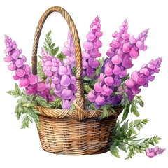 Fototapeta na wymiar A basket filled with purple flowers. The basket is made of wicker and is placed on a white background. The flowers are of various sizes and are arranged in a way that creates a sense of depth