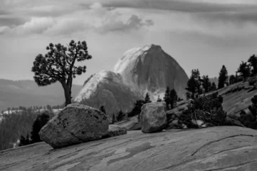 Papier Peint photo Half Dome Striking greyscale shot of the Half Dome batholith with lonely trees in the foreground, Yosemite