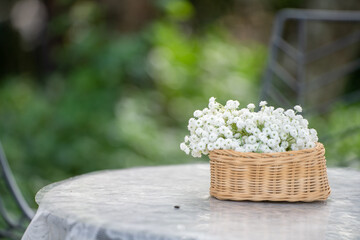 beautiful bouquet of white flowers in basket on wood table in the garden