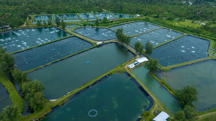 prawn farm with aerator pump in front. Business of raising animals for export. Aquaculture business in Thailand.