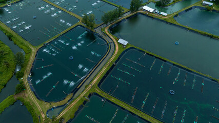 prawn farm with aerator pump in front. Business of raising animals for export. Aquaculture business...