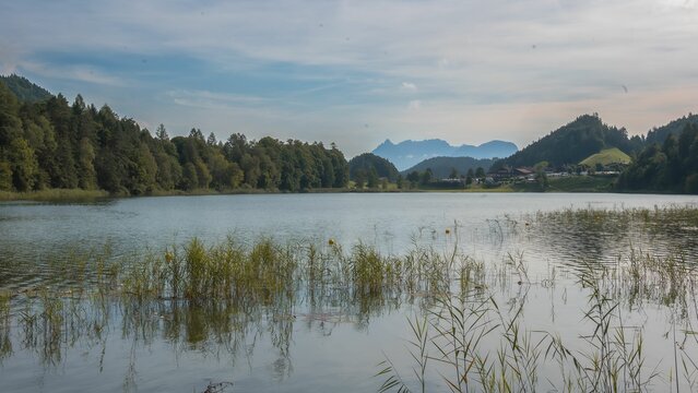 Scenic Rheintalersee in the Alpach and Kramsach lake area in Tyrol in the early morning