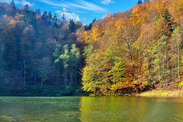 Picturesque autumn landscape of river and bright trees