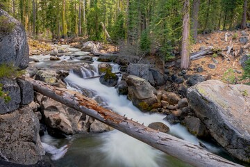 Flowing waterfall in Northern California during springtime meanders through a lush forest