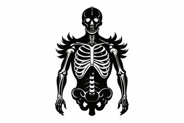 Antique anatomy overlay black silhouette vector design.