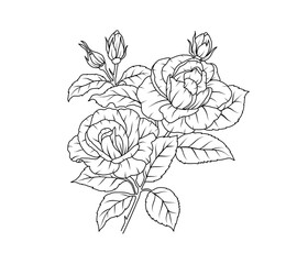 Rose flower line art. Floral black sketch outline bouquet. Rose with leaf simple botanical plant. Vector illustration for tattoo design, coloring pages for kids, wedding invitation