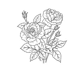 Rose flower line art. Floral black sketch outline bouquet. Rose with leaf simple botanical plant. Vector illustration for tattoo design, coloring pages for kids, wedding invitation - 772284096