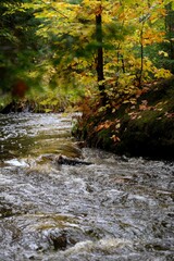 Stunning view of a small stream of crystal clear water flowing through a vibrant fall landscape