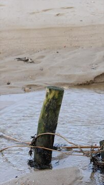 Sylter Wattenmeer