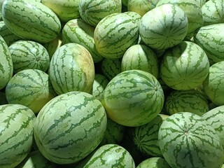 Watermelon is a flowering plant species of the Cucurbitaceae family and the name of its edible...