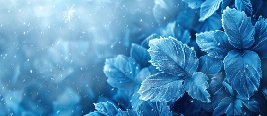 Close-up view of vibrant blue flowers blooming against a frosty blue backdrop. - obrazy, fototapety, plakaty