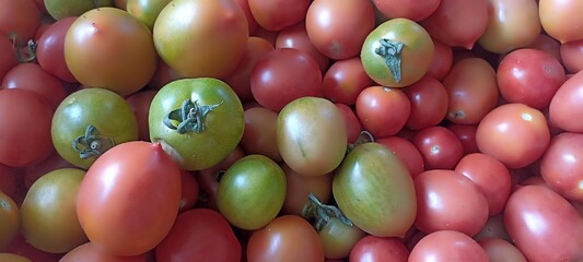 bunch of fresh tomatoes