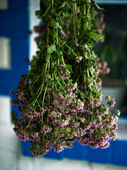 A close-up of fresh green and purple herbs hanging upside down for drying, showcasing a natural, organic atmosphere.