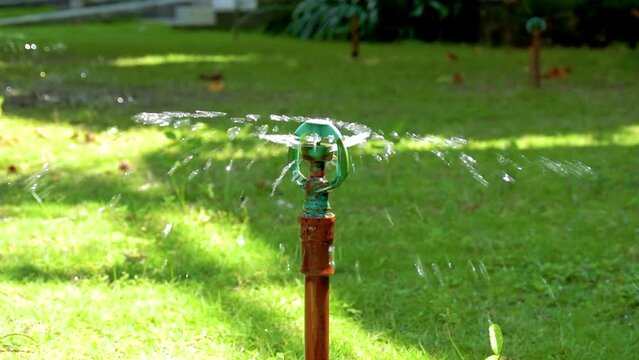 Garden, Grass Watering. Smart garden activated with full automatic sprinkler irrigation system working in a green park, watering lawn, flowers and trees sprinkler head rotation. Gardening 4K UHD slow
