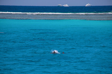 boat in the ocean