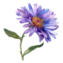 Enthralling watercolor clipart of a single wild aster