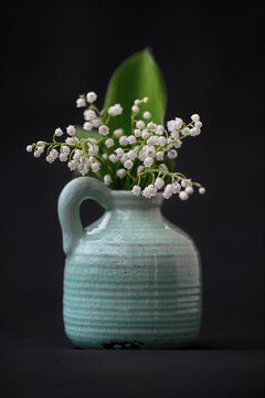 White lily of the valley flower in a small ceramic pitcher against a black background.