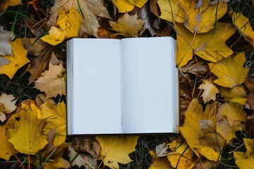 book white empty pages on leaves of autumn concept - obrazy, fototapety, plakaty