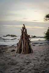 Bunch of wood organized for a bonfire at sunset
