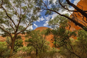 Scenic view of a barren desert landscape with green shrubs