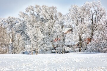 Scenic view of a snow covered field with trees in the background