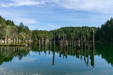 the water has been crystal clear with a lot of dead poles sticking out