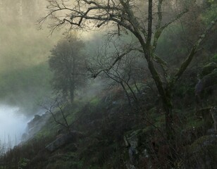 Scenic landscape featuring a hillside covered in mist, with a river flowing in the foreground
