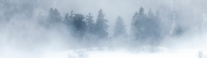 Beautiful winter landscape with snow-covered trees on a foggy day