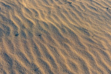 Picturesque scene of sand dunes illuminated by the bright daylight sun.